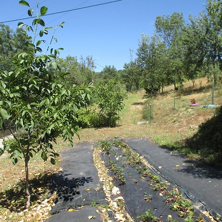 Bungalow "A Choupana" - Quinta Da Carvoica - Vale Pradinhos Vale de Pradinhos ภายนอก รูปภาพ