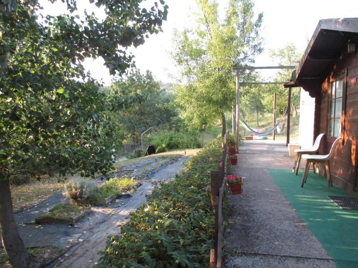Bungalow "A Choupana" - Quinta Da Carvoica - Vale Pradinhos Vale de Pradinhos ภายนอก รูปภาพ