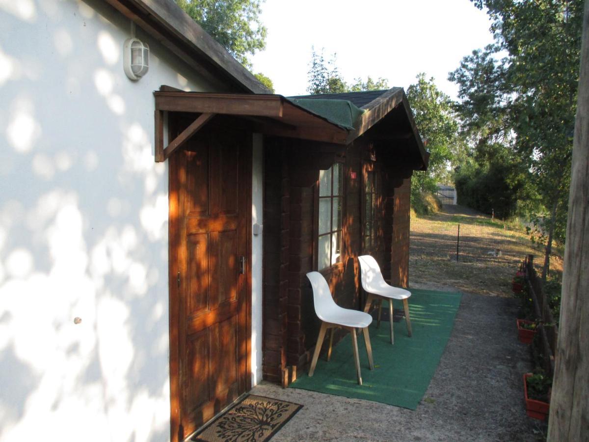 Bungalow "A Choupana" - Quinta Da Carvoica - Vale Pradinhos Vale de Pradinhos ภายนอก รูปภาพ