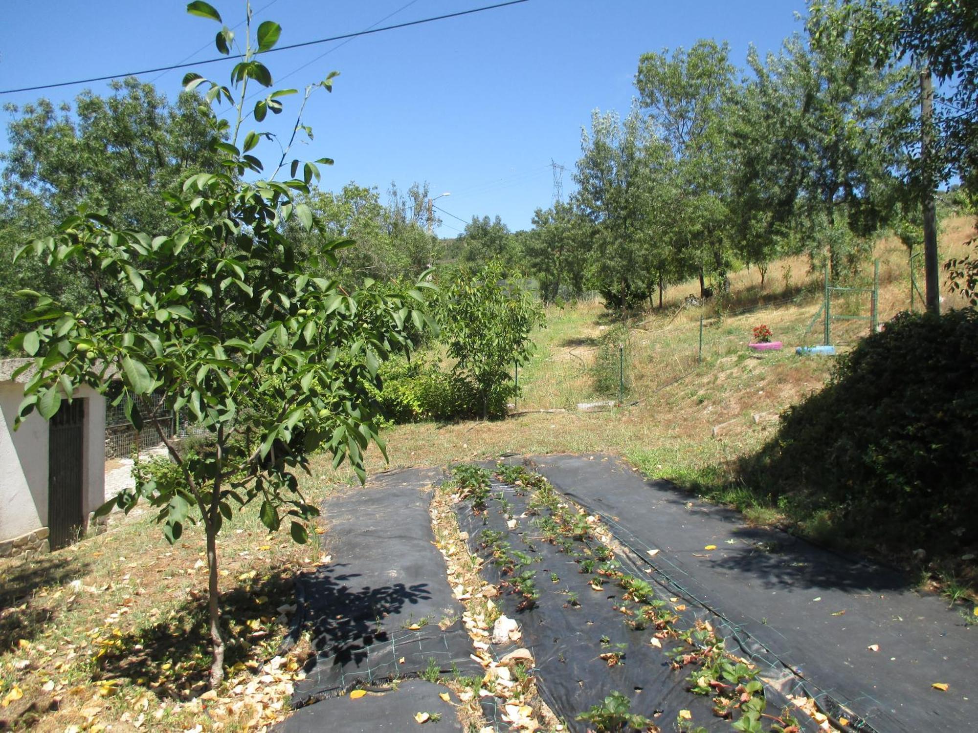 Bungalow "A Choupana" - Quinta Da Carvoica - Vale Pradinhos Vale de Pradinhos ภายนอก รูปภาพ