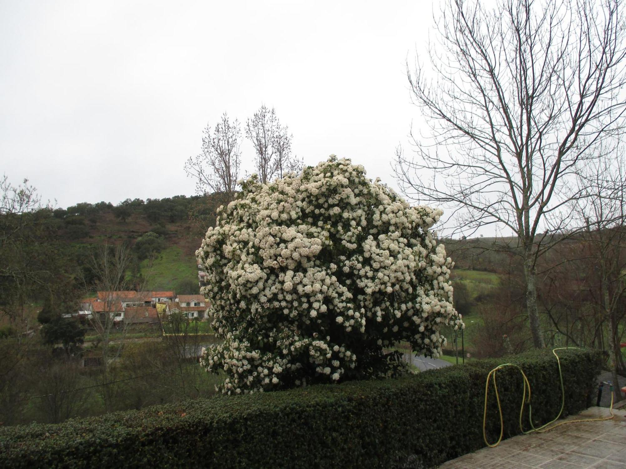 Bungalow "A Choupana" - Quinta Da Carvoica - Vale Pradinhos Vale de Pradinhos ภายนอก รูปภาพ